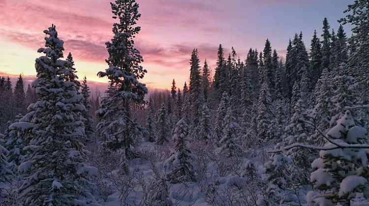 ��������� ����� �����������! �� �� ���������� ��������: ��� ��������� � ���� ������ ��������