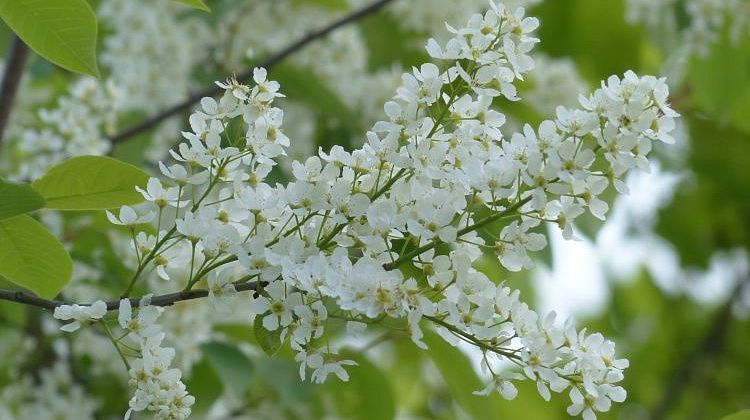 ������ ��������! ��������� �� ������ ��� ��� ���� ������