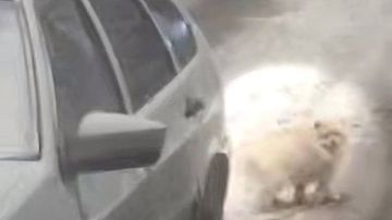 ���� ����� �������� �������� ���� ��� ������� �������������� �� ������: ��� ����� ���������? 