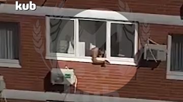    :       