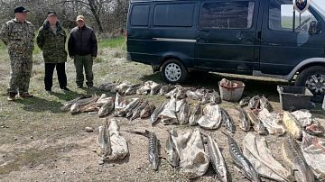 Ценный улов стал уликой: на Кубани судят браконьеров за краснокнижную рыбу