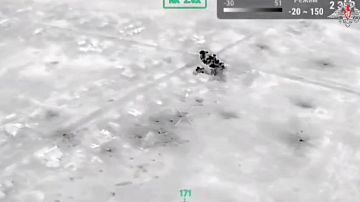 ������� � �������! Ƹ����� ���� ������ ������� �� �������� ��� � ���������