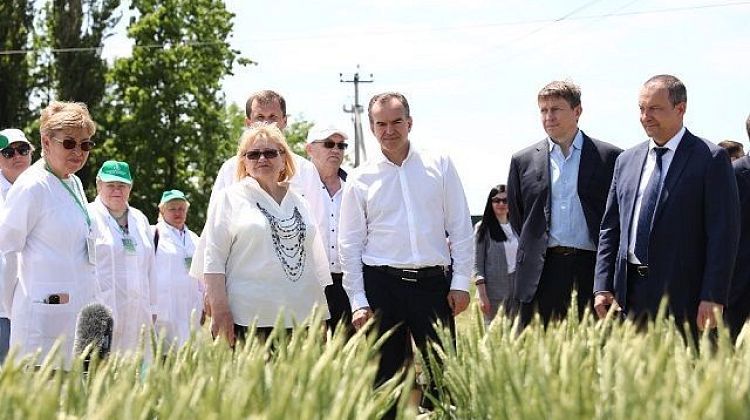 ����� � ������������. ��� �������� ������������� ������������ �� ��������������?