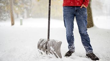 ������ ���������� ������ �� ������: �� ������ ����� 200 ������ �����������