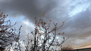 ����� ����� ���� � ������ ��������� ������: ��� �������� ������ ������?