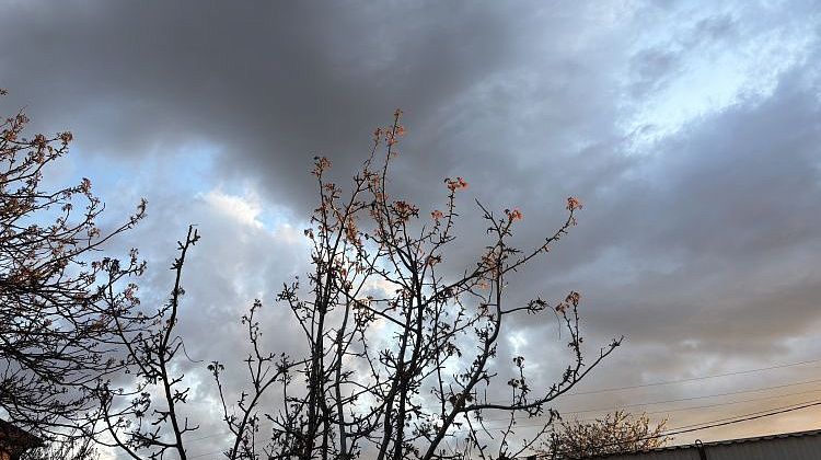 ����� ����� ���� � ������ ��������� ������: ��� �������� ������ ������?