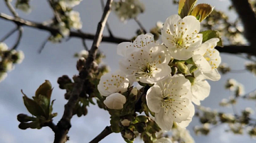 ��������� �� ����� ���� ����� 26 �����! ���������� ������ � ����� ������ �� ������