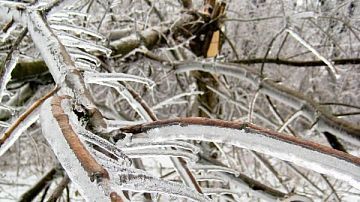 ������ ����, ������� � �����: �� ������������� ���� ����������� ������ ������