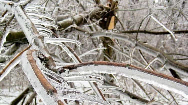 ������ ����, ������� � �����: �� ������������� ���� ����������� ������ ������