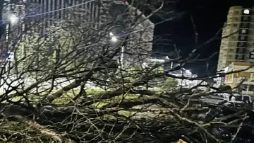 ������ � ����� ������ �����, ������� ������� � ��������� ���� ��� ��������� ����� � ��� �����