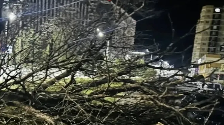 ������ � ����� ������ �����, ������� ������� � ��������� ���� ��� ��������� ����� � ��� �����