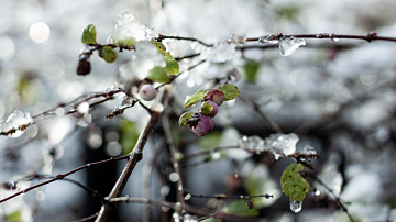 ��������� � ���������� �������� ��������� ��������: ������� � ����� ��� ������