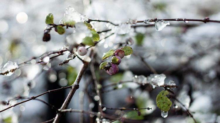 ��������� � ���������� �������� ��������� ��������: ������� � ����� ��� ������