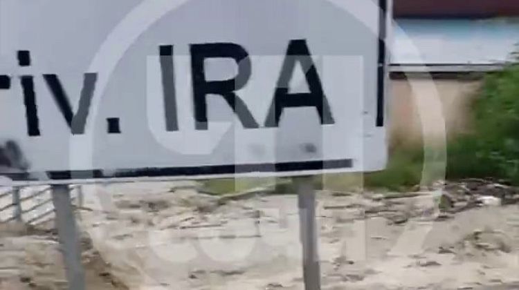    :  ,  ,    