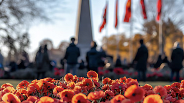 ������ ������ ��������: ��� �������� � ������������ 9 ��� � �������������