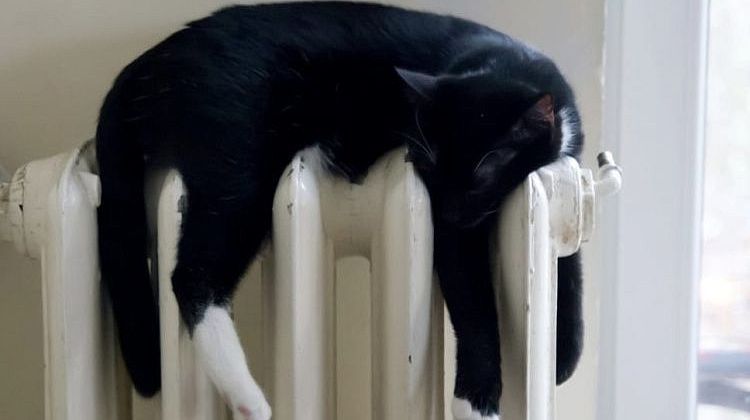 ���������� ����� � ����� ������ ����������: � ������ ��������?