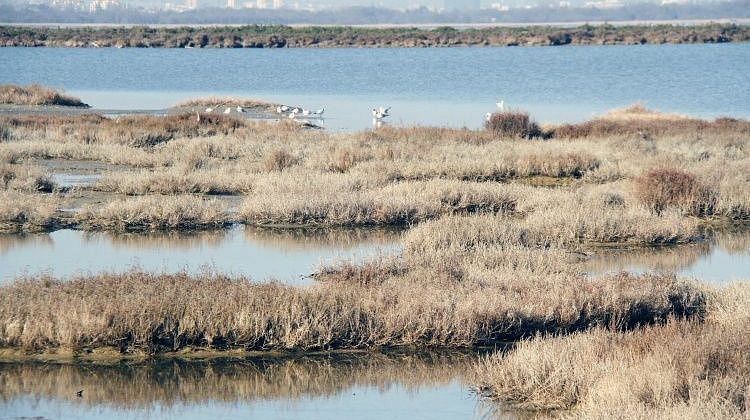 ������! �� ������ ���������� �������������� � ������� ������ ���: ����� �������� ������� �� ����