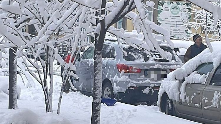 ������� ���������� ����: ������� ������ �� ��������� � ������������� ����