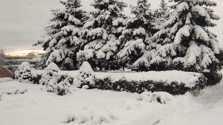 ������ �� ������ ������� ����? ���� �� ����� �������� ��� �� ����������� �� ��� ������ 