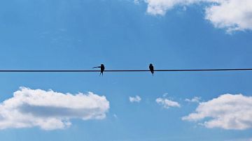 ������ ���� 9 �����: �������, ��������, �������� ������� � �������: �� ��� �����?