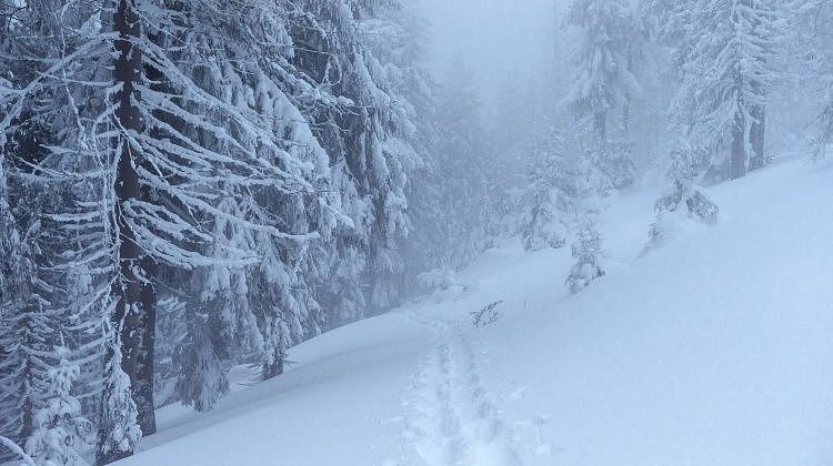 ���� ����� ��������� �� ����������: �������� ������� �� ������������� �������� ��� ���������