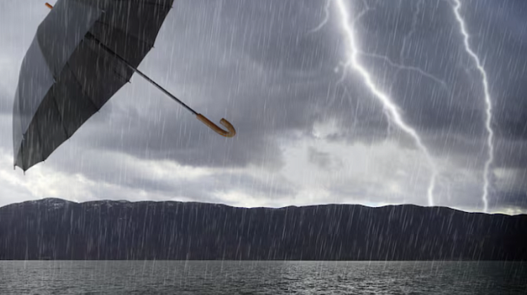 ����, ����� � ����� �� 20 �/�: ������ ������� ������� ������ � ������ ���