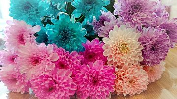 8 ����� ������ �������: ����� ����� � ������� ���������� ����� ������