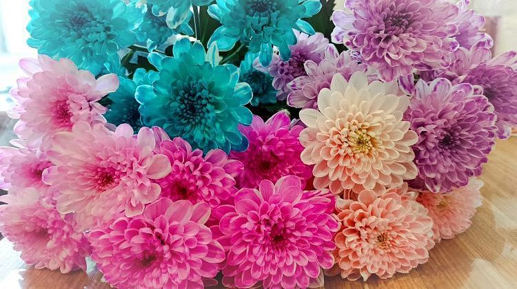 8 ����� ������ �������: ����� ����� � ������� ���������� ����� ������