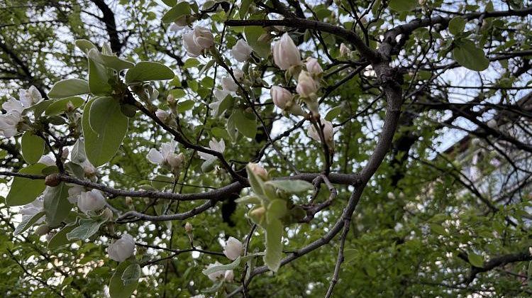 ������ ������, �� ������� ��� ���������: ����� ������ ������� ������ ������