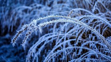 ����� ���� � ������� ������: ��� ������� ������ ����������