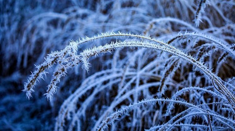 ����� ���� � ������� ������: ��� ������� ������ ����������