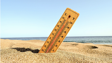 ���� � ������ � ����� ��������: ��� ������� ����-2026 ��� ������