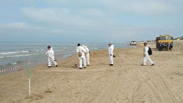 3 июня: выбросов мазута на пляжах Анапы нет