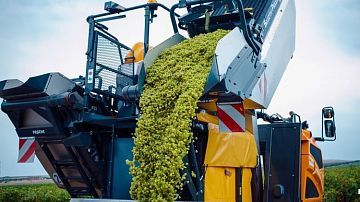 �������� �������, ����� ����� � �������: ������� ������ ��������� ���