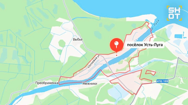 ��� ������� ����� 203 ������������: ����� ���� ������ ���� ��  ����������, ����� ������ ����