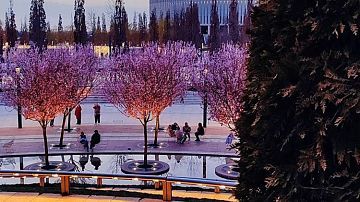 ������� ������� �����: ��������� �������, ��� ����� ��������