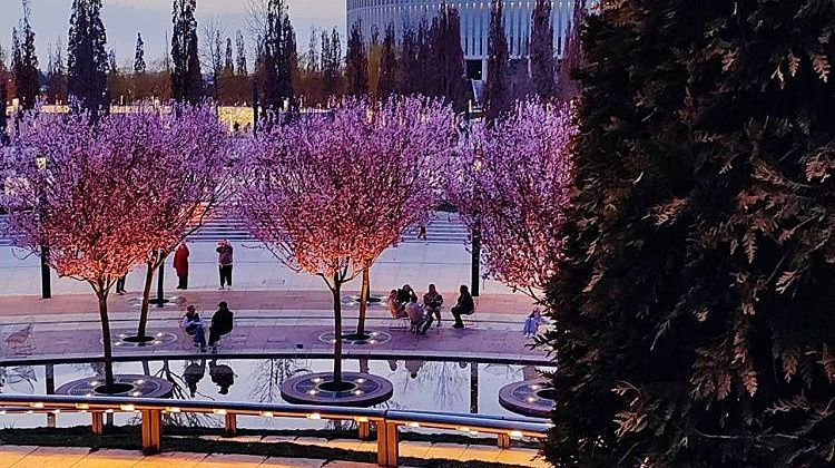 ������� ������� �����: ��������� �������, ��� ����� ��������