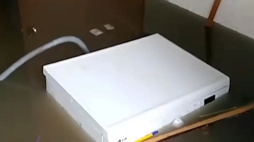 ���� � ����������� �� ������ �������� ����������� �� ����: 48 ������� ����� � ���� ���