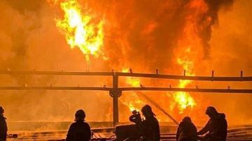 ���� �������� �� ����� ����: ������! ��� �������� � �������� 