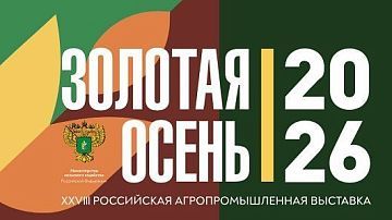 �������� ������: ������� � ������