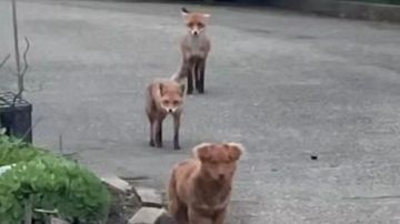     :         