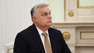 ������� ������ �� ������: �������-������� ������� �� �������� � 2026 ���� ������ ����� � ��