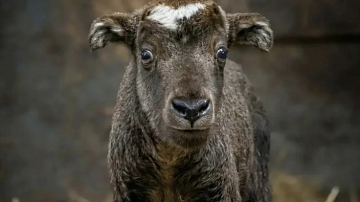 ������� ����� �����! �� ��� ������ �������� �� ���� ������� ���������� ���� ��������