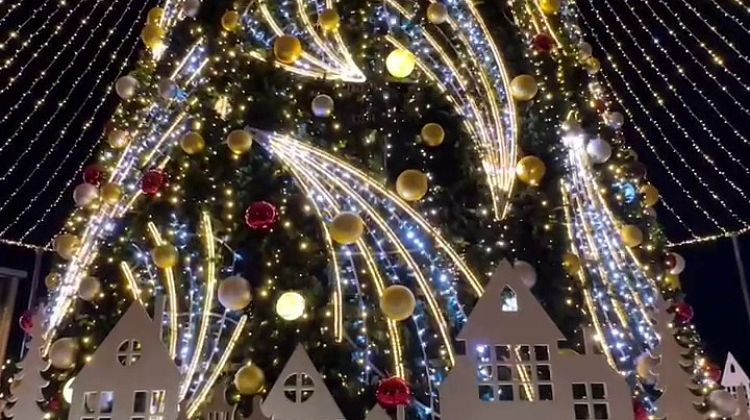 В кубанской столице открыли главную городскую елку Живая Кубань