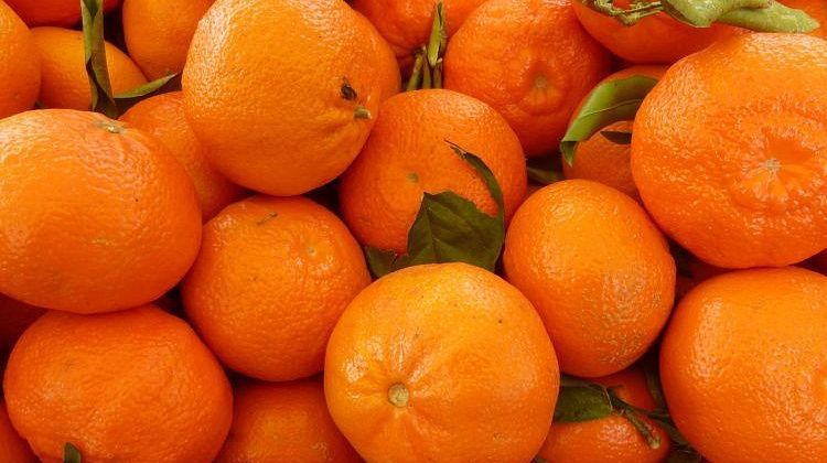 ������� ���� �� ������: � ������������� �������� 20 ���� ��������� ����������