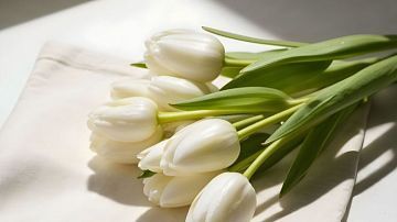 ��� �������� 8 �����: ������ ���� ��� ������, ����������� � ����� �����������