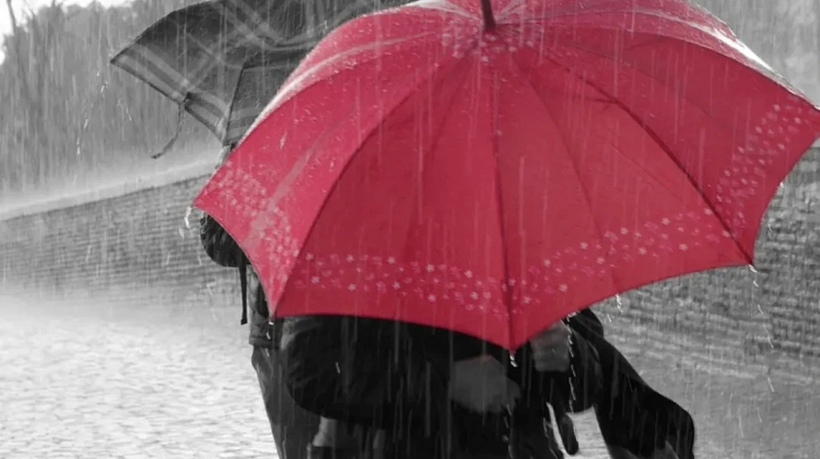 ��������! ��������� �� ������: ��������� ��������, ����� ����� ���������