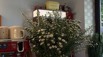 ����� �������� ������: ������� �������� ��� ������� ������