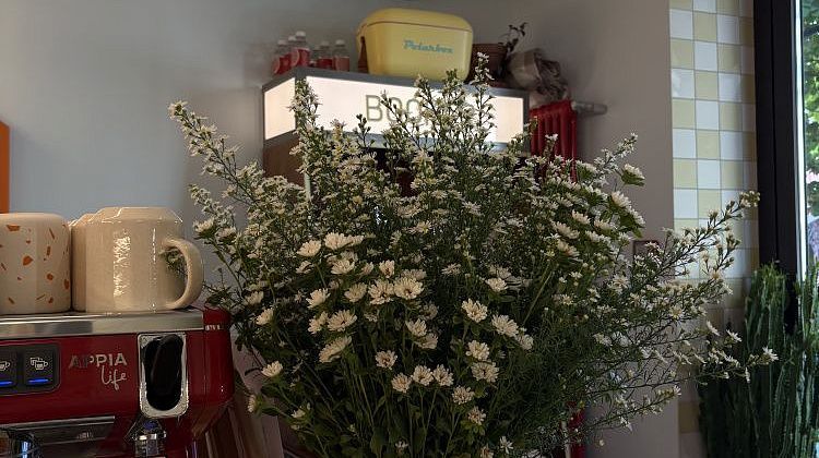 ����� �������� ������: ������� �������� ��� ������� ������