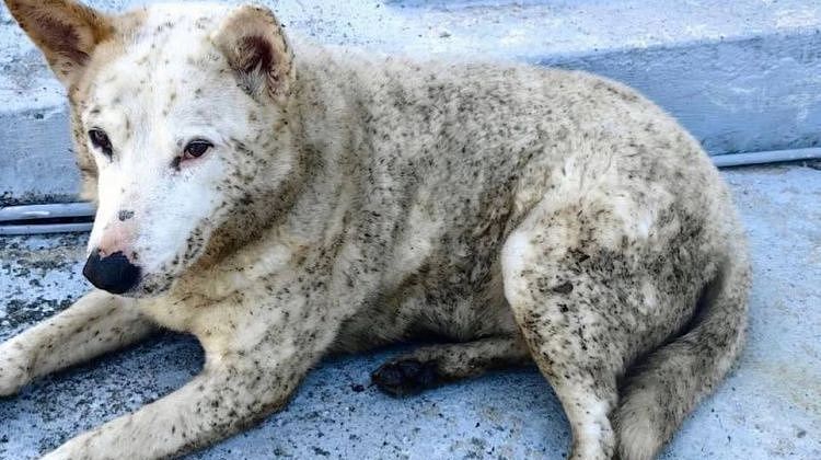 �������� ���� ����������! ����� ��������� ������, �������� ��� �����: ������ �����, ������ �����